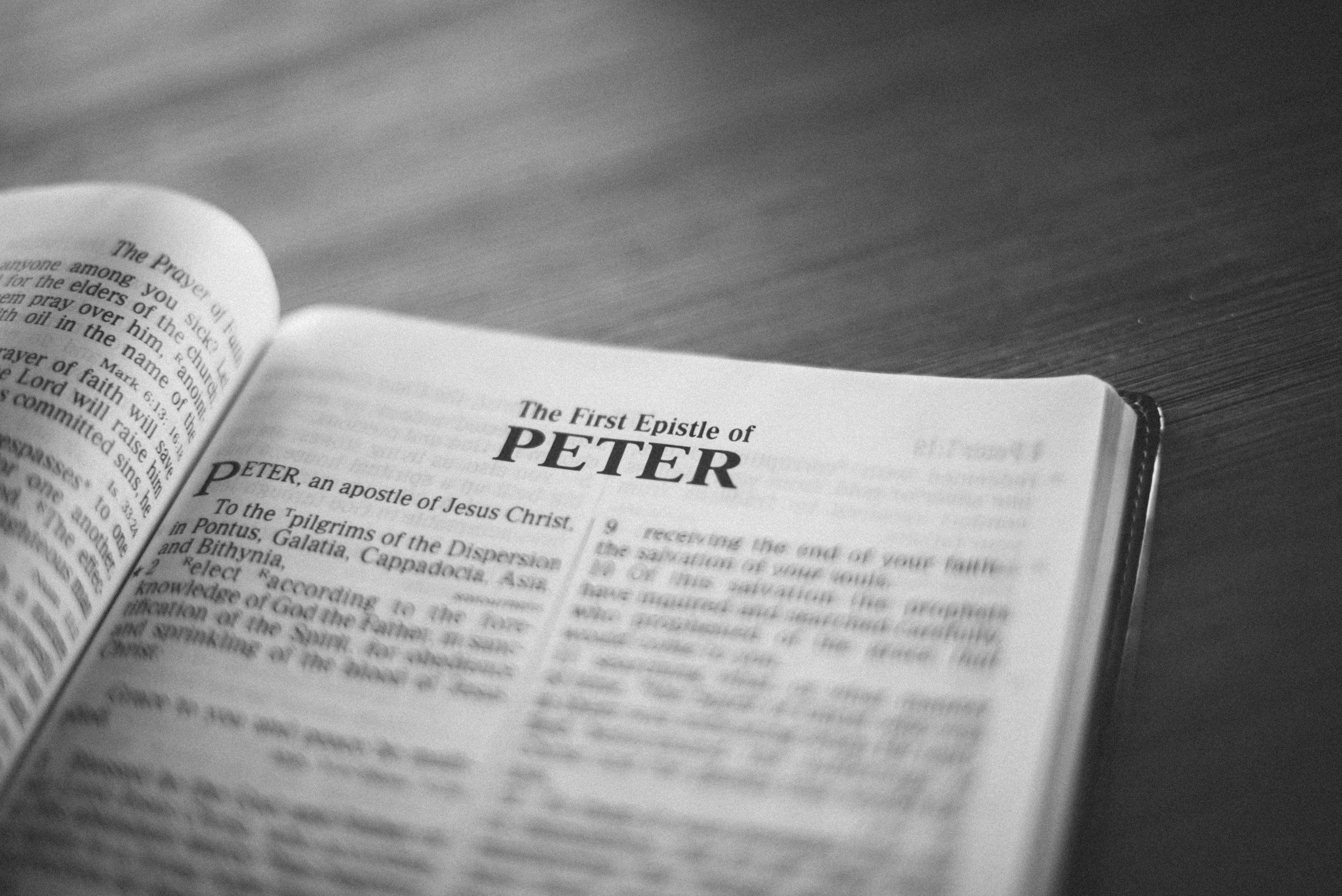 Featured image for “1 Peter Pt. 2 – Submission and Suffering for Christ”